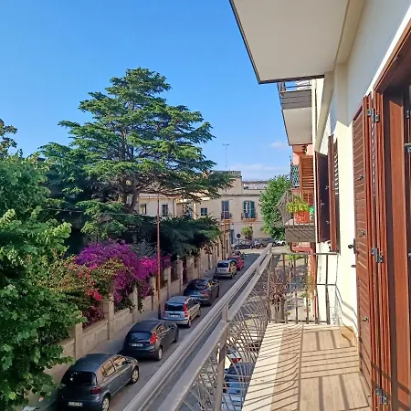 Cavaliere * Тропея