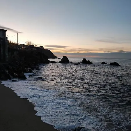 Cavaliere トロペーア